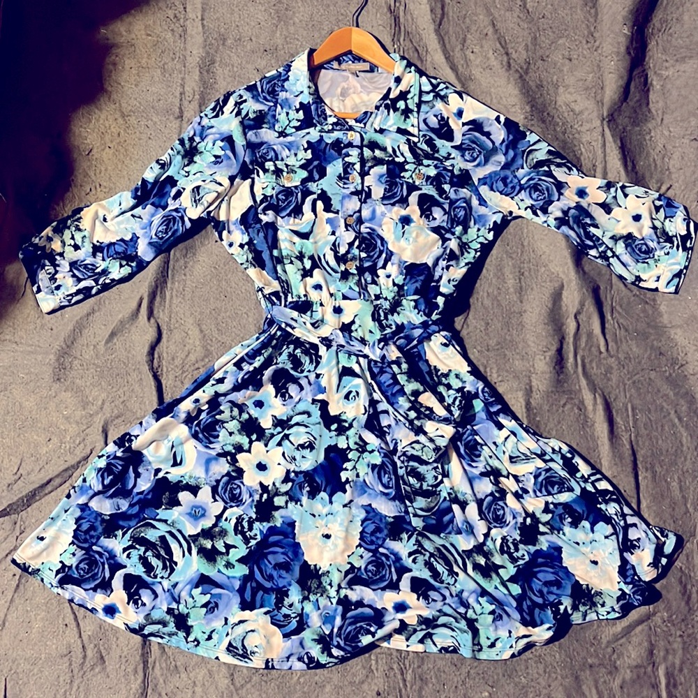 Blue, floral print, belted A-line dress